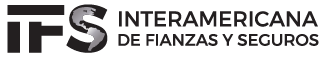 logo-ifs